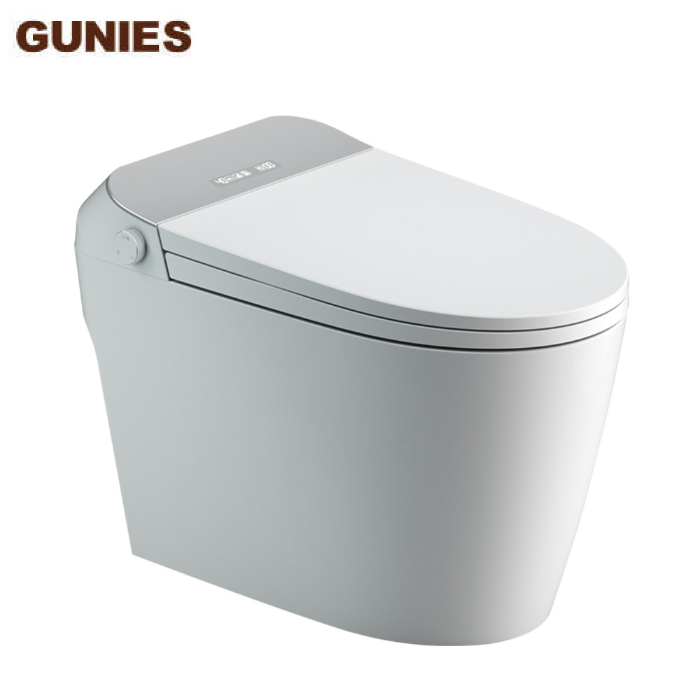 multifunction ceramic smart toilet supplier