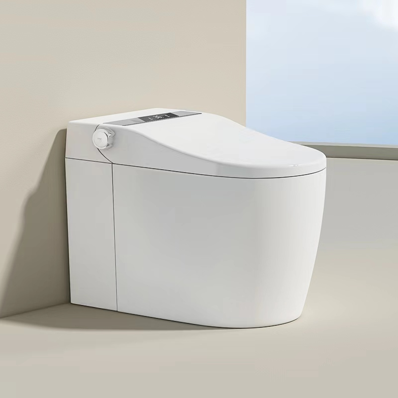 Bathroom Intelligent Toilet Manufacturer