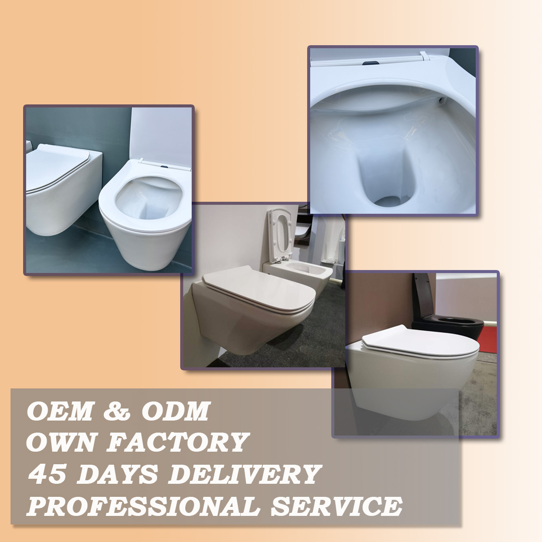 residential wall-hung toilet manufacturer